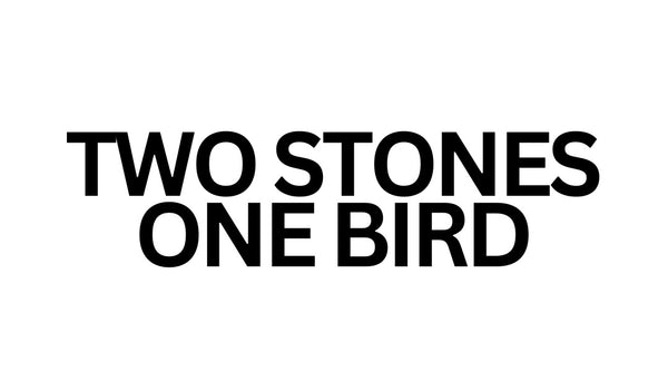 TWO STONES ONE BIRD